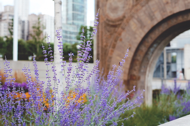 cityparks_chicagostockexchange